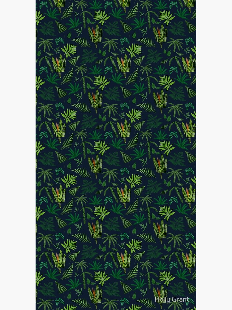 Fresh Adirondack Ferns by LadyElizabeth