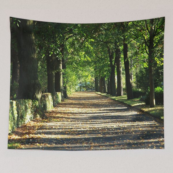 Item preview, Light and shadow designed and sold by Babbler01.