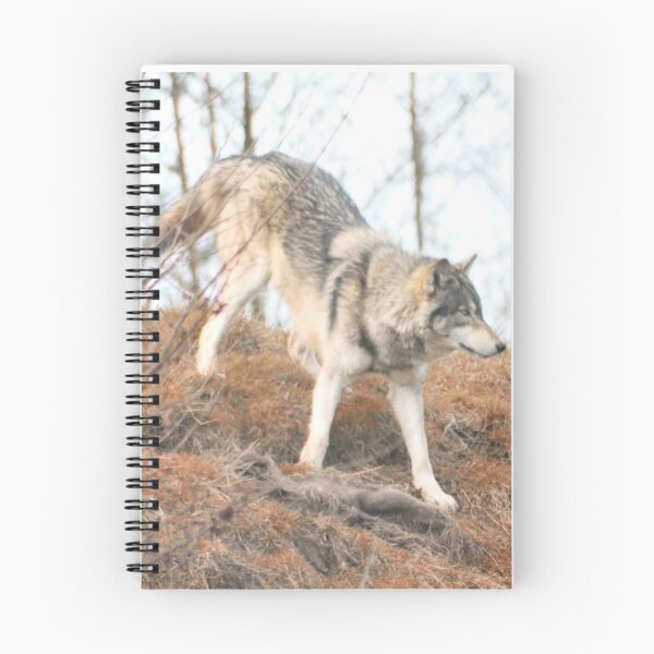 Item preview, Wolf roaming designed and sold by GandRMartin.
