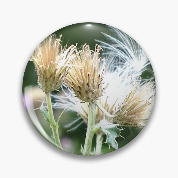 Artikelvorschau, Distel entworfen und verkauft von Babbler01.