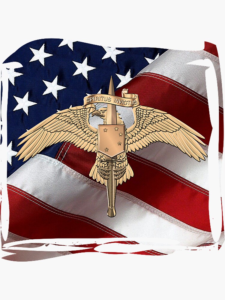 usmc raider flag