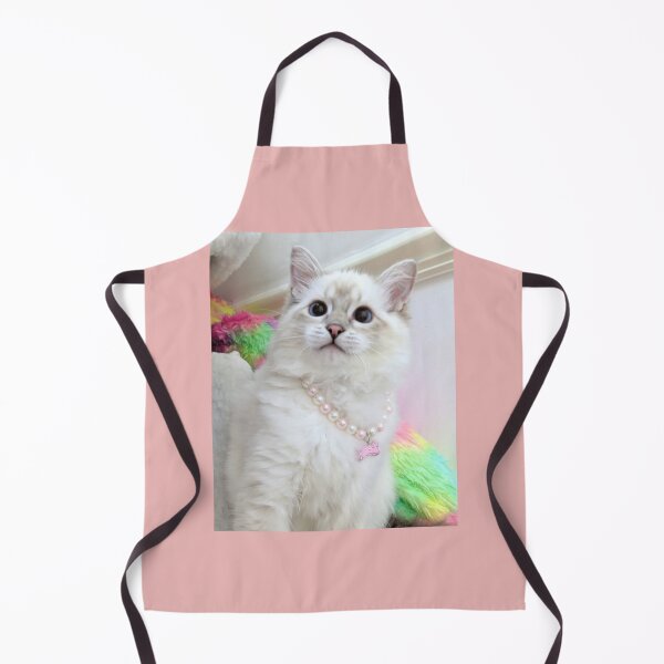 Item preview, Ragdoll kitten Saoirse designed and sold by Fluffycat2020.
