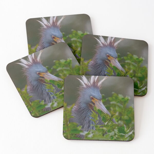 Item preview, Tri Colored Heron designed and sold by SuddenJim.