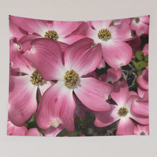 Item preview, Pink Dogwood photograph  designed and sold by ArtishbyLisa.