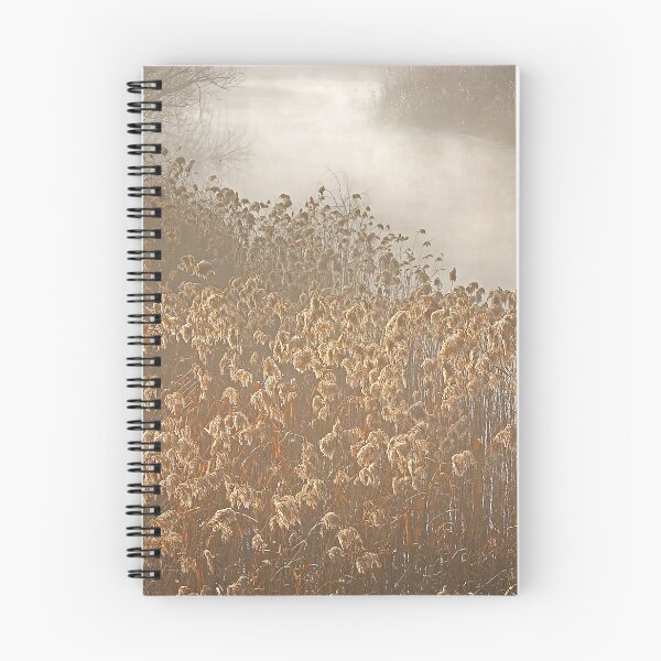 Item preview, 2097 Reeds designed and sold by Hans Kawitzki.