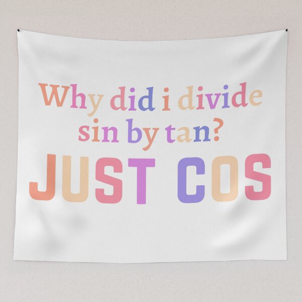 Item preview, Funny maths pun/joke for teachers designed and sold by PickaSticka.