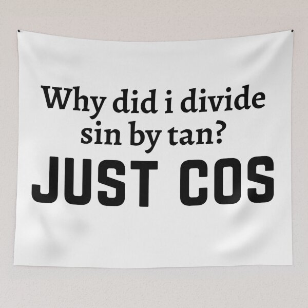 Item preview, Funny maths pun/joke for teachers designed and sold by PickaSticka.