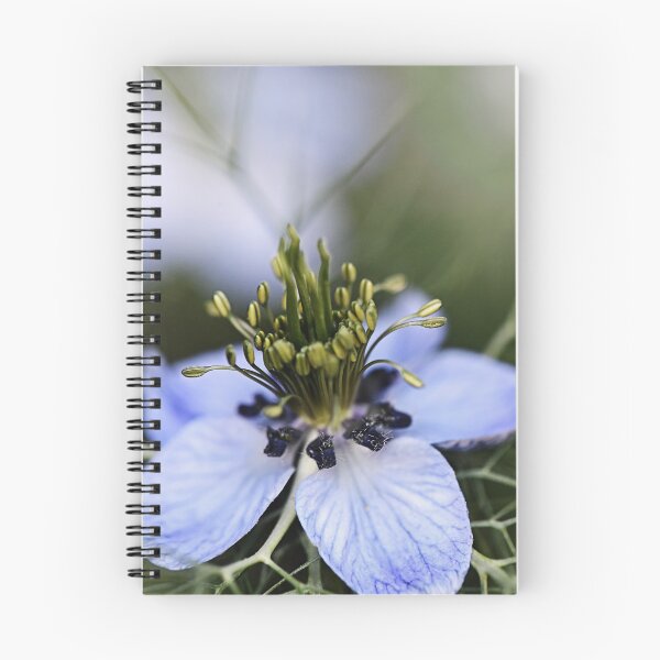 Item preview, Detailed bloom of an unknown flower designed and sold by ODENWALD-Natur.