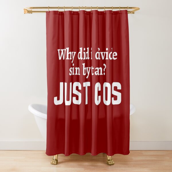 Item preview, Funny maths pun/joke for teachers designed and sold by PickaSticka.