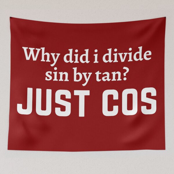 Item preview, Funny maths pun/joke for teachers designed and sold by PickaSticka.