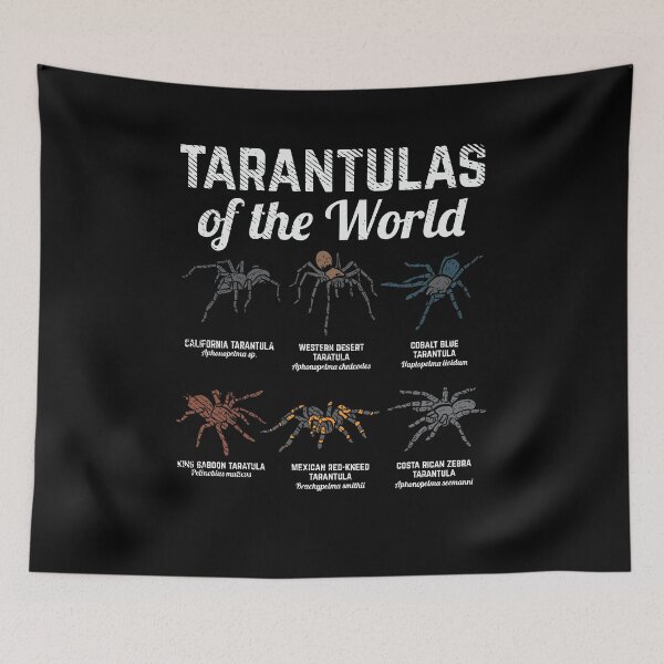 Aperçu de l'œuvre Tarentules du monde créée et vendue par shirtbubble.