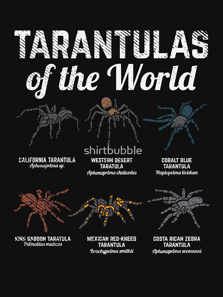 Tarantulas Of The World Pullover Hoodie