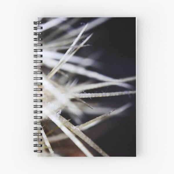 Item preview, Macro shot of a cactus designed and sold by ODENWALD-Natur.