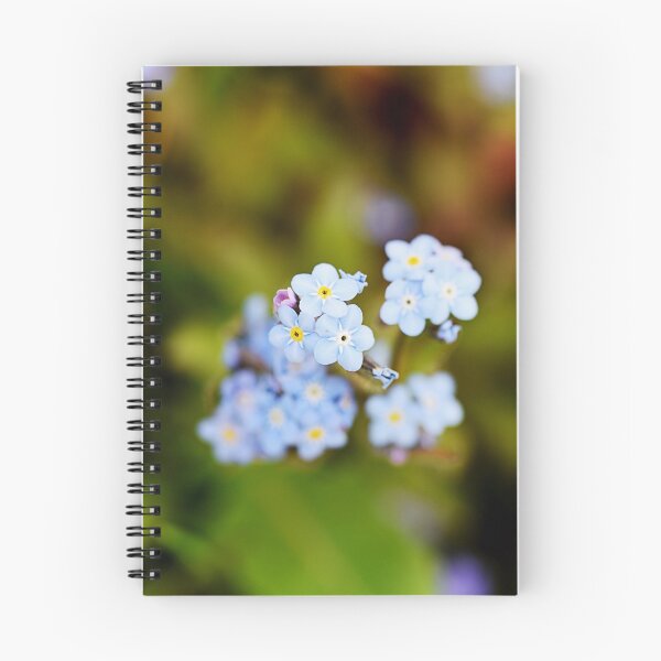 Item preview, Small light blue flowers designed and sold by ODENWALD-Natur.