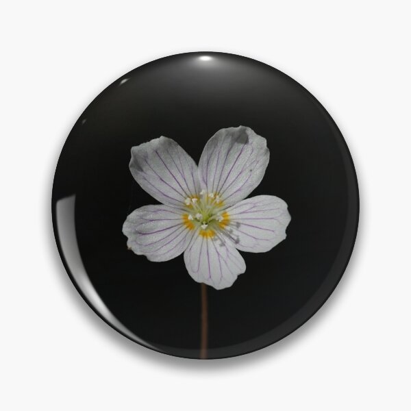Item preview, Wood sorrel designed and sold by NW-Photo-Art.