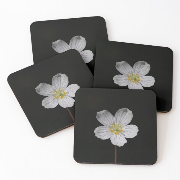 Item preview, Wood sorrel designed and sold by NW-Photo-Art.