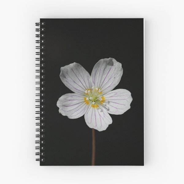 Item preview, Wood sorrel designed and sold by NW-Photo-Art.