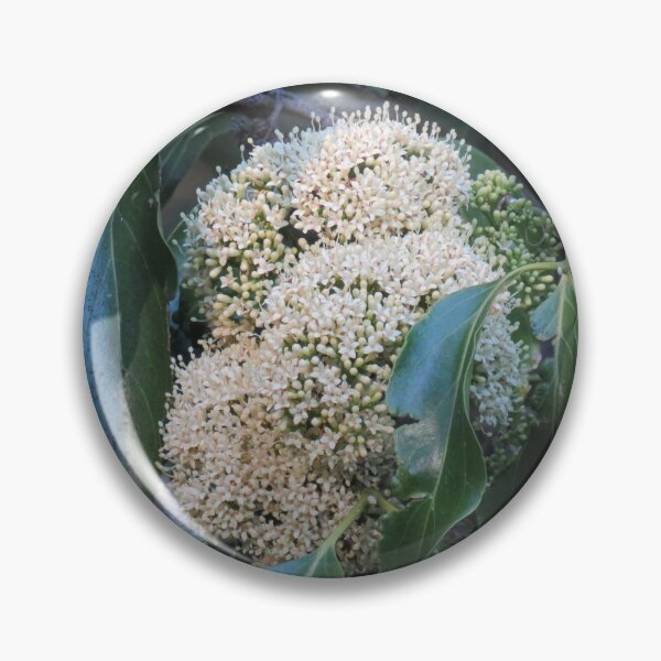 Item preview, Dense white flower cluster designed and sold by greentiger1.