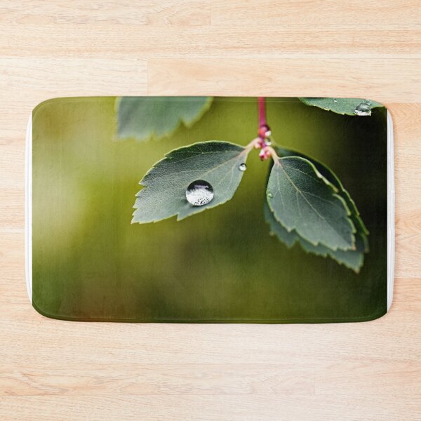 Item preview, Lotus effect in the Odenwald designed and sold by ODENWALD-Natur.
