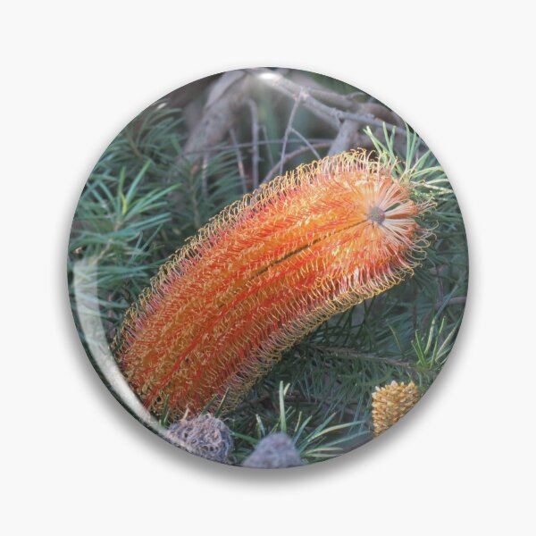 Item preview, Curvy banksia designed and sold by greentiger1.