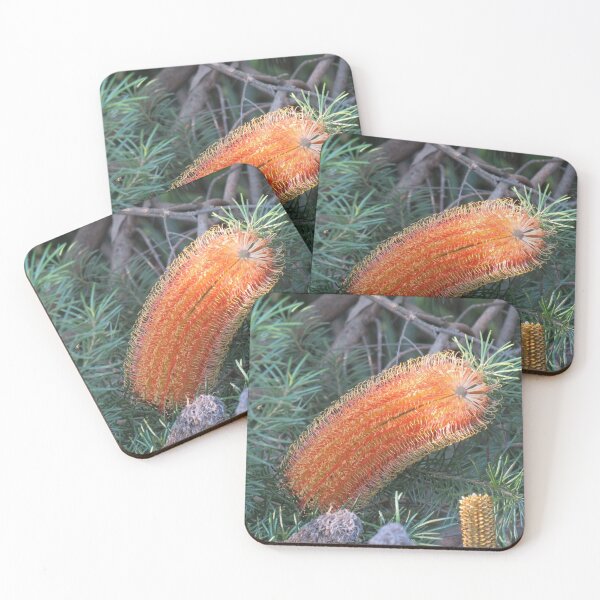 Item preview, Curvy banksia designed and sold by greentiger1.