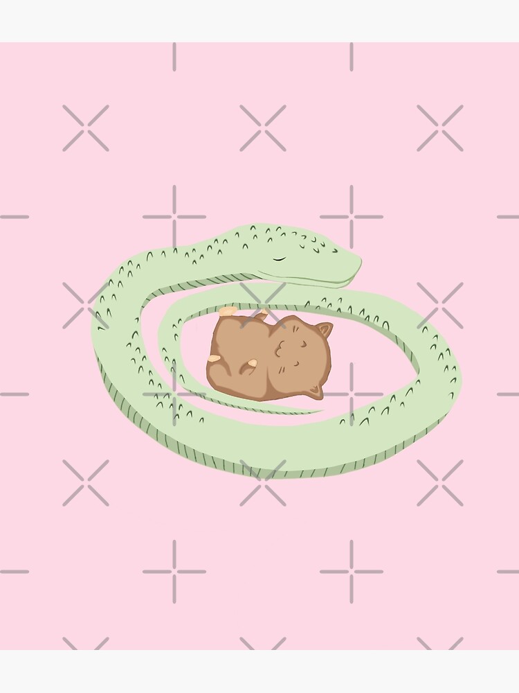 "snake and hamster unlikely friendship" Poster for Sale by pupujussi