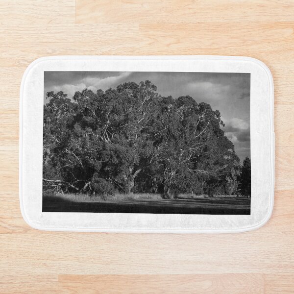 Item preview, Autumn Trees designed and sold by Kristie Richmond.