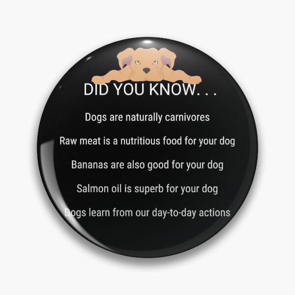 Item preview, DID YOU KNOW... (Helpful Dog Nutrition) designed and sold by StrideOrDie.