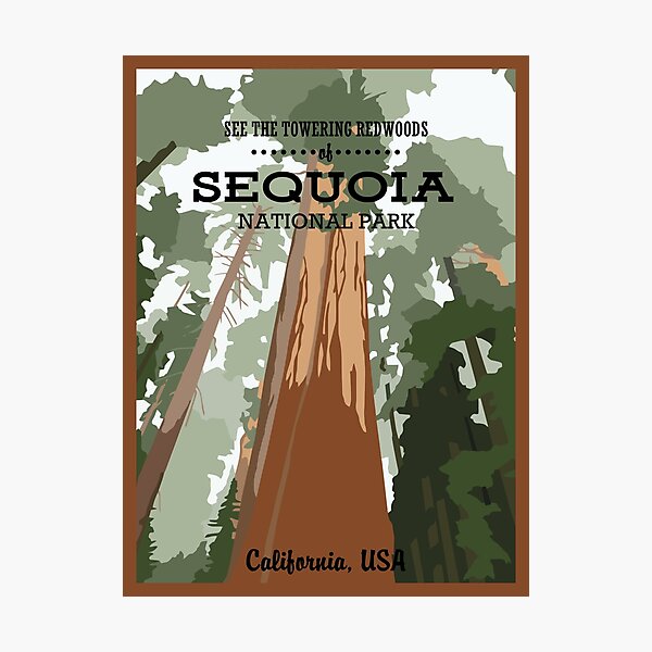 Item preview, Sequoia NP (Portrait) designed and sold by Sean Womack.