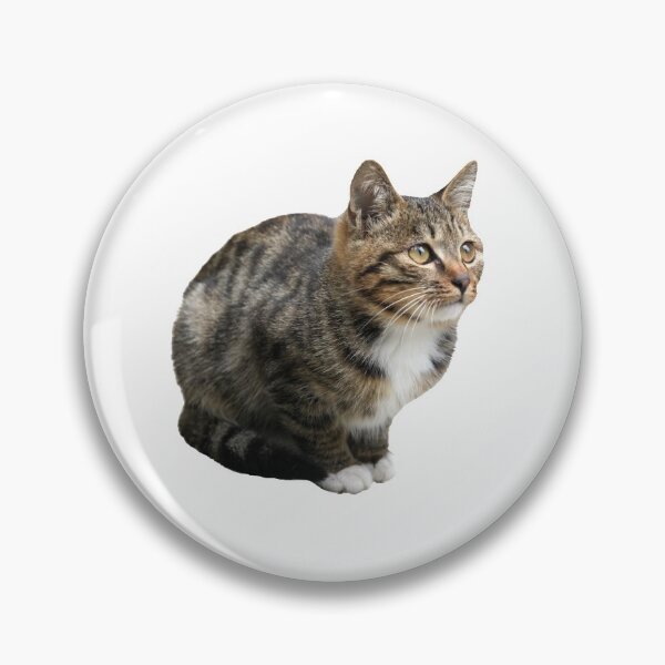 Item preview, A Squatting Tabby Cat designed and sold by kefayatullah.