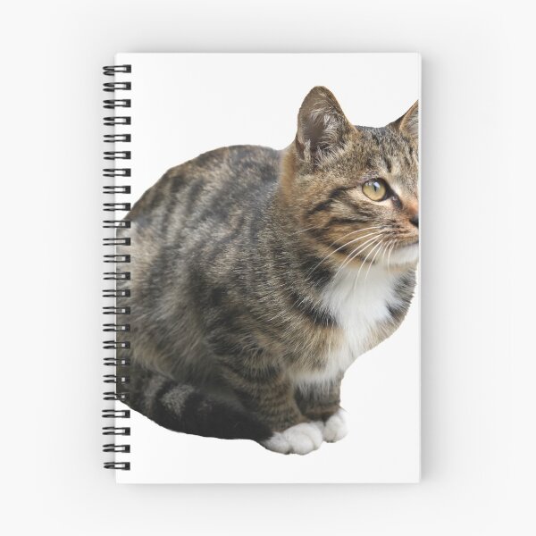 Item preview, A Squatting Tabby Cat designed and sold by kefayatullah.