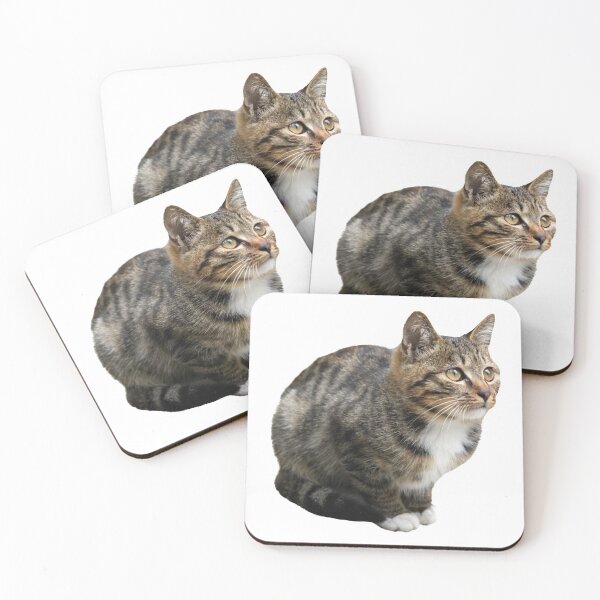 Item preview, A Squatting Tabby Cat designed and sold by kefayatullah.