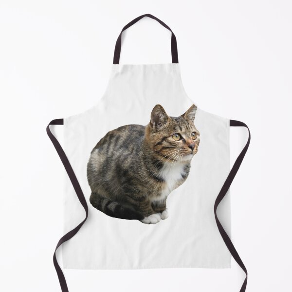 Item preview, A Squatting Tabby Cat designed and sold by kefayatullah.