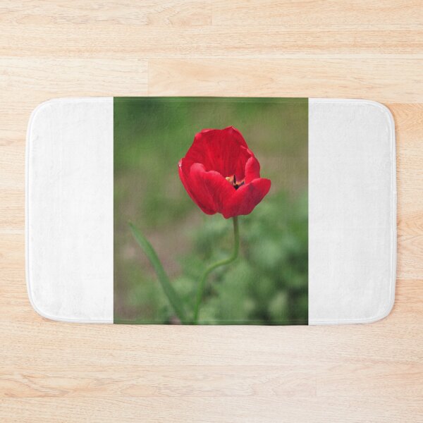 Item preview, Red tulip on green background designed and sold by olena2552.