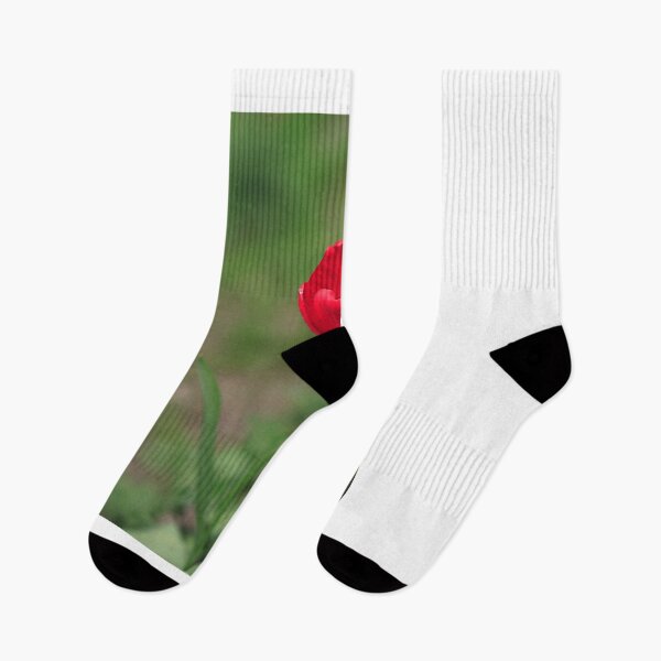 Item preview, Red tulip on green background designed and sold by olena2552.