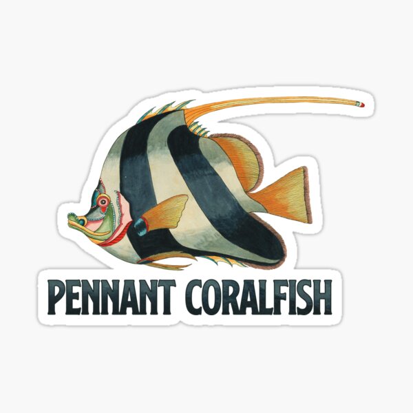 Artikel-Vorschau von Kutscher Wimpel Korallenfisch Riff Tank Salzwasser Aquarium Banner Fish Keeper Aquarist Geschenk, designt und verkauft von TheAplus.