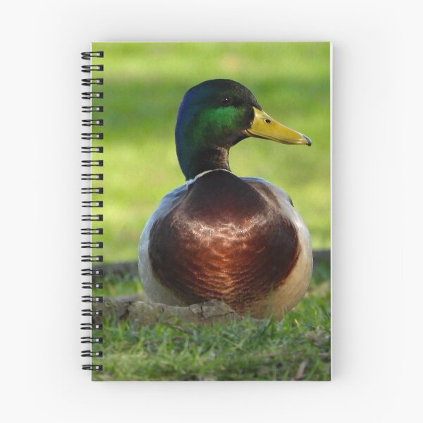 Item preview, A Wonderful Mallard Duck designed and sold by Karen Thomson.