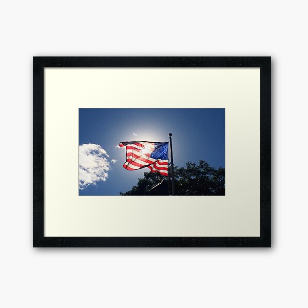 American Flag Framed Art Print