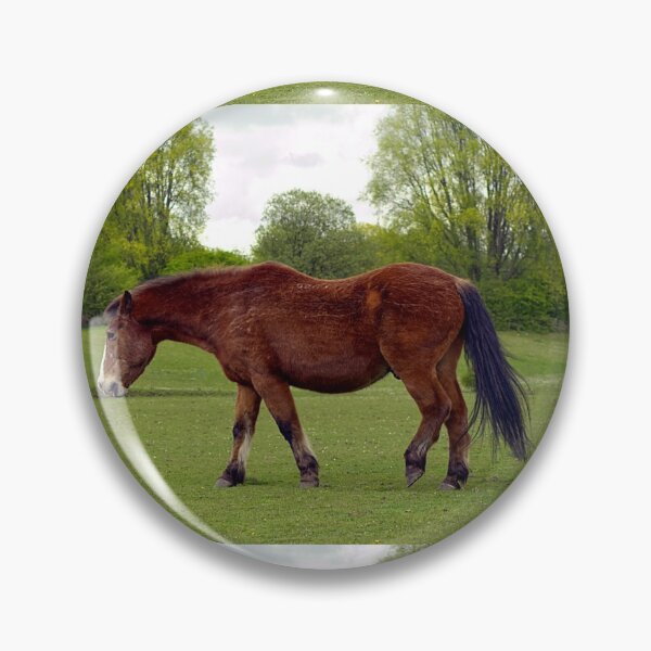 Item preview, Chestnut horse, taken at Chadderton Hall Park Manchester UK designed and sold by PicsByTony.