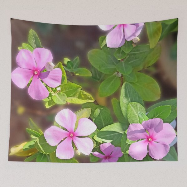 Artikelvorschau, Pinke Blume entworfen und verkauft von Nayeem967.