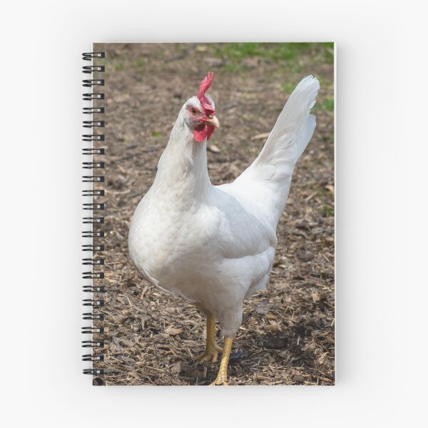 Item preview, sassy hen designed and sold by cahphotography.