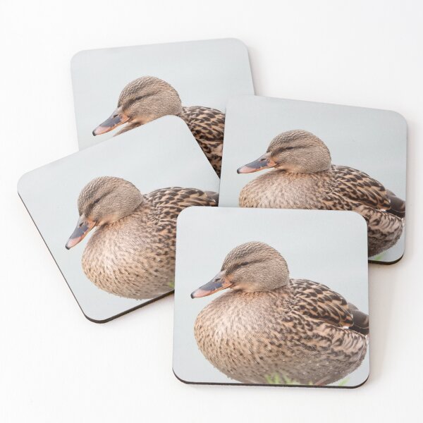 Item preview, A Beautiful Female Mallard Duck designed and sold by Karen Thomson.