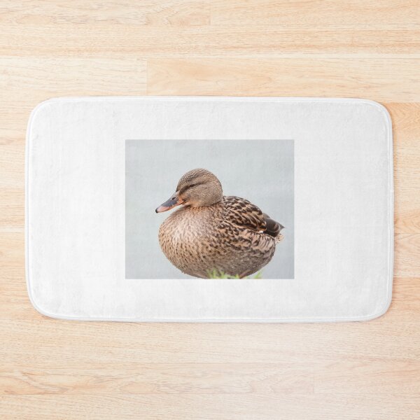 Item preview, A Beautiful Female Mallard Duck designed and sold by Karen Thomson.