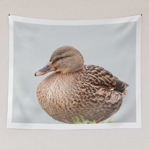 Item preview, A Beautiful Female Mallard Duck designed and sold by Karen Thomson.