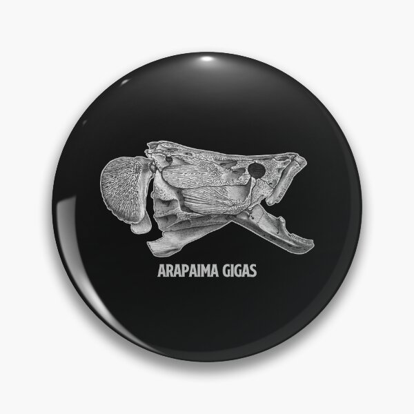 Item preview, Arapaima Pirarucu Paiche Skull Skeleton Aquarium Fish Keeper Aquarist Gift designed and sold by TheAplus.