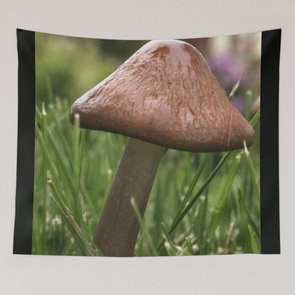 Item preview, Brown Mushroom designed and sold by Susie Kramer.