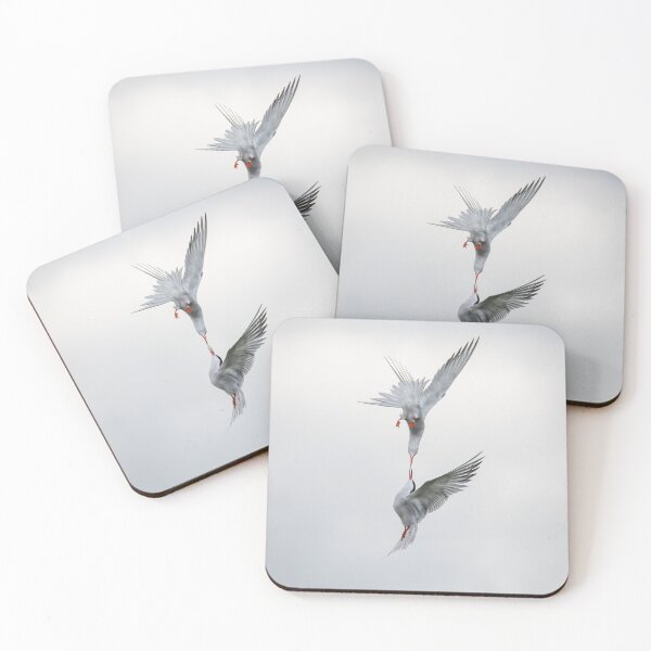 Item preview, Common terns (Sterna hirundo) designed and sold by Steve Liptrot Photography.