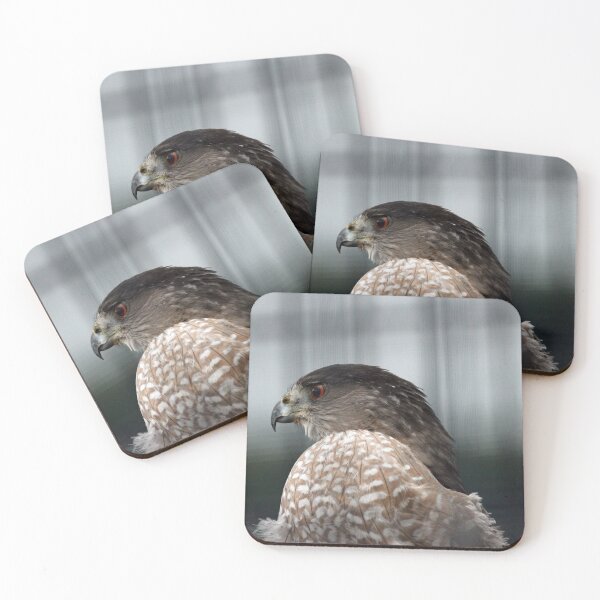 Item preview, Coopers Hawk designed and sold by Susie Kramer.