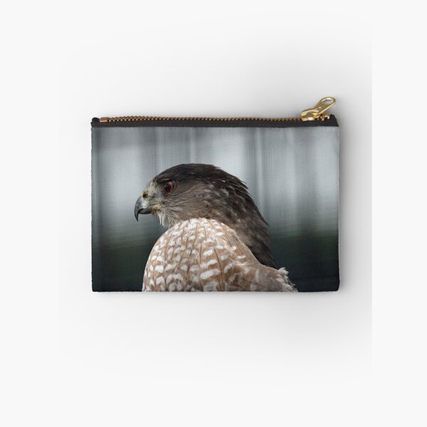 Item preview, Coopers Hawk designed and sold by Susie Kramer.