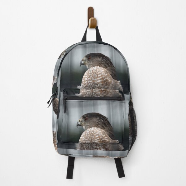 Item preview, Coopers Hawk designed and sold by Susie Kramer.